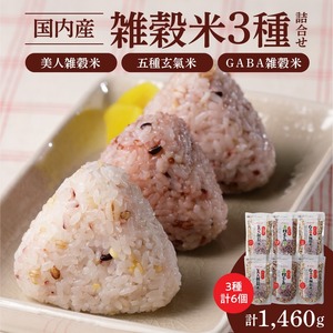 国内産 雑穀米3種詰め合わせ （GABA雑穀米・美人雑穀米・五種玄氣雑穀米　各2個）_米 雑穀米 おいしい 3種 6パック 詰め合わせ セット 1460g 1回 国内産 体にやさしい 混ぜて炊くだけ 主食 おにぎり 冷めても美味しい お弁当 ブレンド 日本雑穀アワード 2年連続 金賞 GABA雑穀米 美人雑穀米 五種玄氣米 送料無料 〔Gr013〕