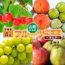 【ふるさと納税】【定期便4回】山形からのフルーツ便 ～ゆたか～【令和6年産先行予約】FS23-898