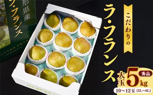 《先行予約》 令和8年産 洋梨 大玉 「ラ・フランス」5kg 秀品 《化粧箱入り》 5L - 6L  農家直送 山形県産【2026年11月頃から12月上旬頃発送予定】　024-B-HK004