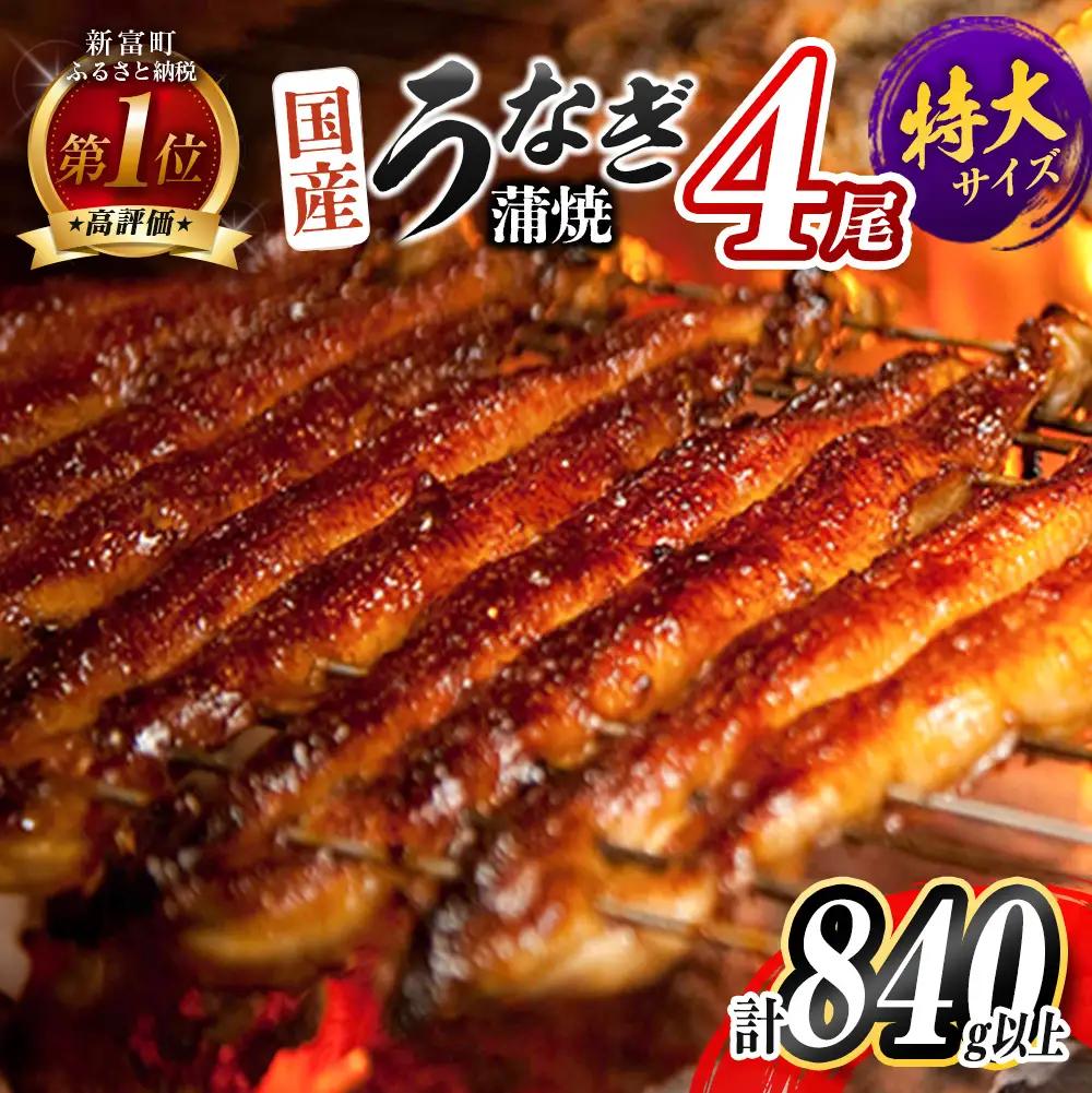 2026年9月配送 鰻楽 特大 うなぎ蒲焼 4尾840g C388-840-2609