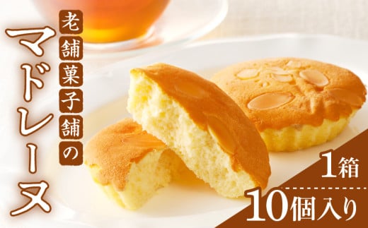 【2週間以内発送】老舗菓子舗のマドレーヌ計10個 焼き菓子 スイーツ 詰め合わせ 洋菓子_T035-0021