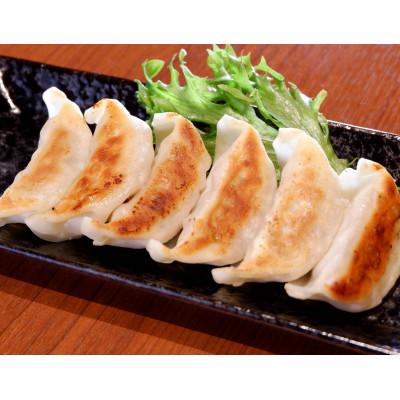 ふるさと納税 宇城市 あか牛ぎょうざセット(あか牛餃子20個入り×2箱)(宇城市) |  | 02