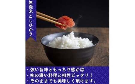 【令和7年産米】無洗米 奈良県産 こしひかり 20kg（5kg×4袋）／ 新米 全農パールライス 米 お米 白米 国産 奈良県 葛城市 こめ コメ ライス ご飯 ごはん ふっくら もちもち つやつや 