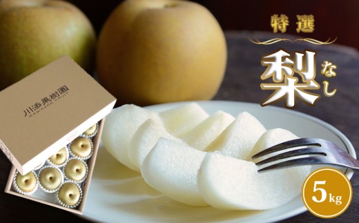 【旬の時期にお届け】川添果樹園の特選梨 約 5kg ナシ 果物 フルーツ 和梨 幸水 豊水 南水 秋月 あきづき 新高 国産