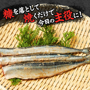 北海道産 糠さんま 3尾×12パック 保存食 サンマ