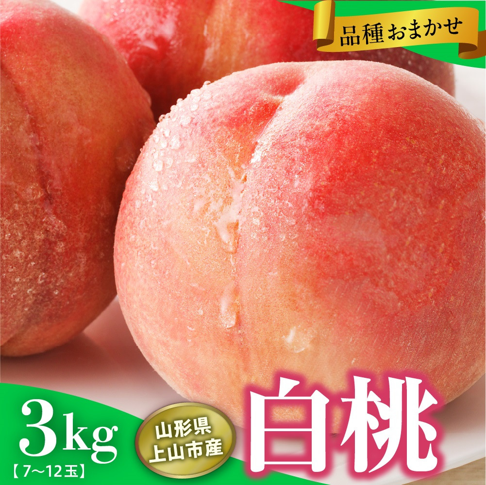 
            山形県上山市産　白桃（品種おまかせ）３ｋｇ　0136-2501
          