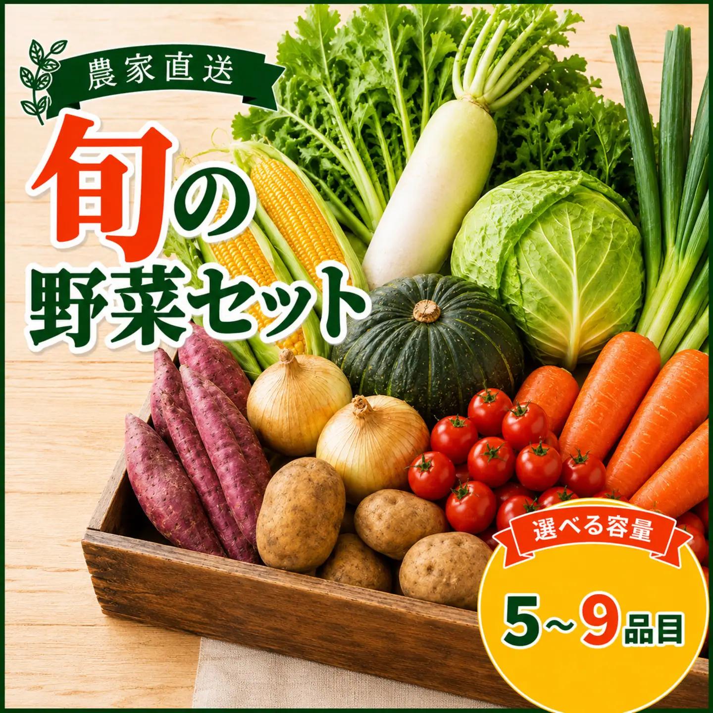 野菜セット 旬野菜 5～9品目