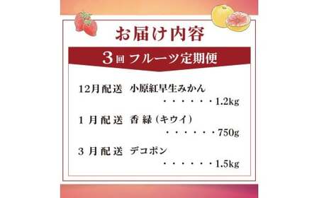 旬のフルーツ 定期便 3回 Hコース フルーツ 定期便