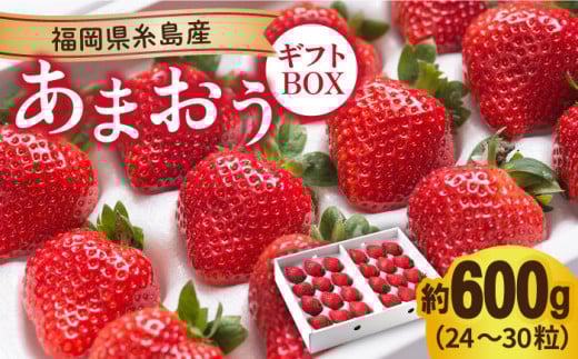 糸島産 あまおう ギフト 箱 ( 24-30粒 )  《糸島》【南国フルーツ株式会社】 [AIK011]
