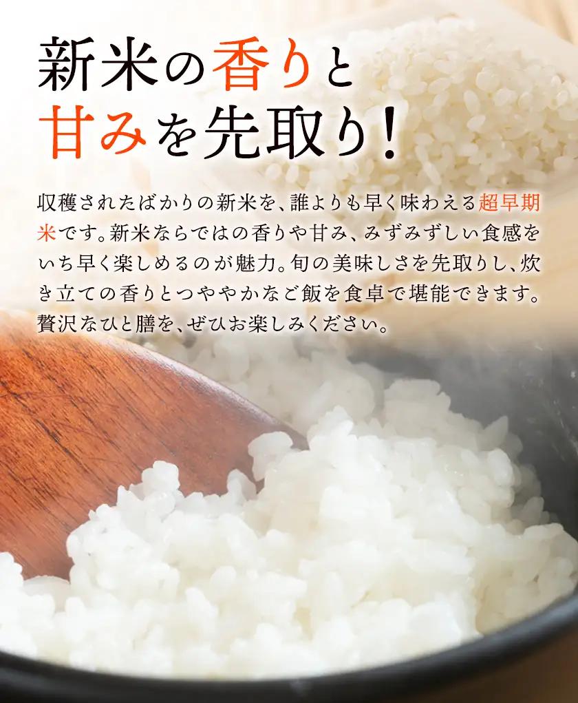 新米 令和8年産 超早期米 コシヒカリ こしひかり 10kg 田嶋ファーム《8月中旬-9月中旬出荷予定》
