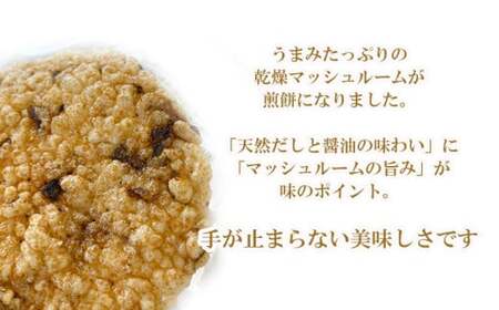 八幡平マッシュルームおこげ＆八幡平ホワイトマッシュDRYの詰合せ ／ マッシュルーム マッシュルームチップ せんべい 煎餅 スープ お菓子 おこげ 乾燥きのこ きのこ キノコ 茸 セットドライ 天然だ