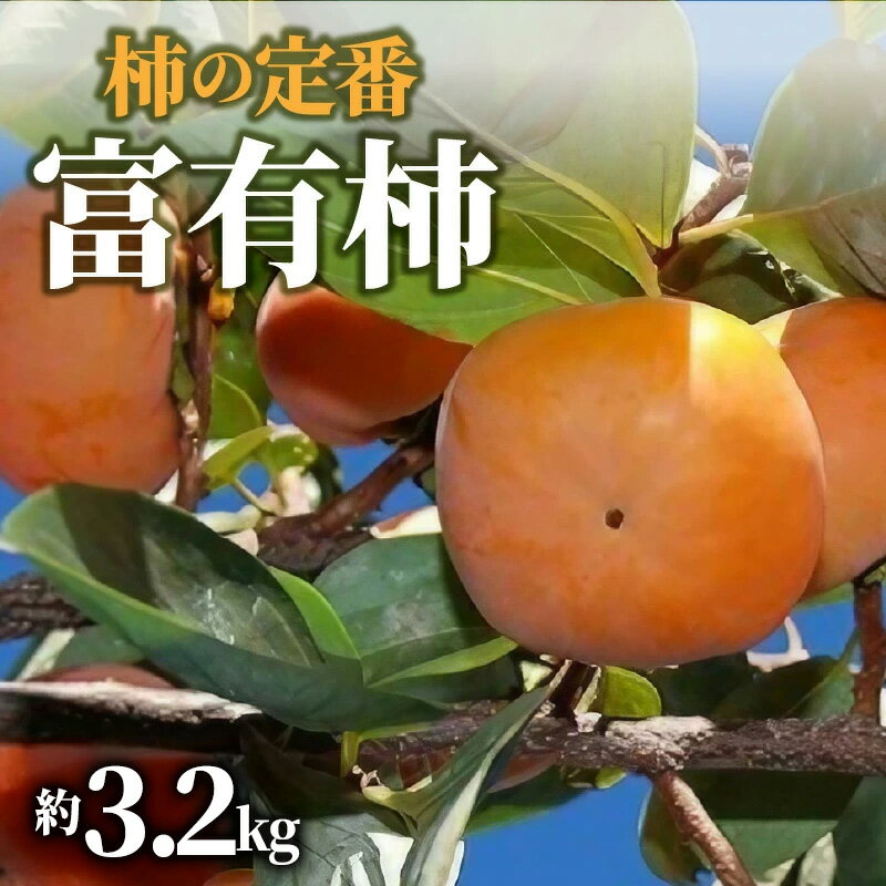 【ふるさと納税】 柿の定番「富有柿」約3.2kg [ 柿 カキ かき 直送 新鮮 オーガニック 健康効果 保存方法 美容効果 栄養価 送料無料 フルーツ 果物 お取り寄せグルメ 詰め合わせ ご当地 讃岐 さぬき 10,000円 台 返礼品 香川県 三豊市 五色青果 ]