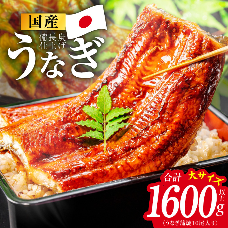 【特別規格】国産うなぎ蒲焼 1600g以上（大サイズ10尾）【レンチン 湯煎対応 簡単調理 鰻 ウナギ 人気総菜 日本産 土用の丑の日にも】 G4242