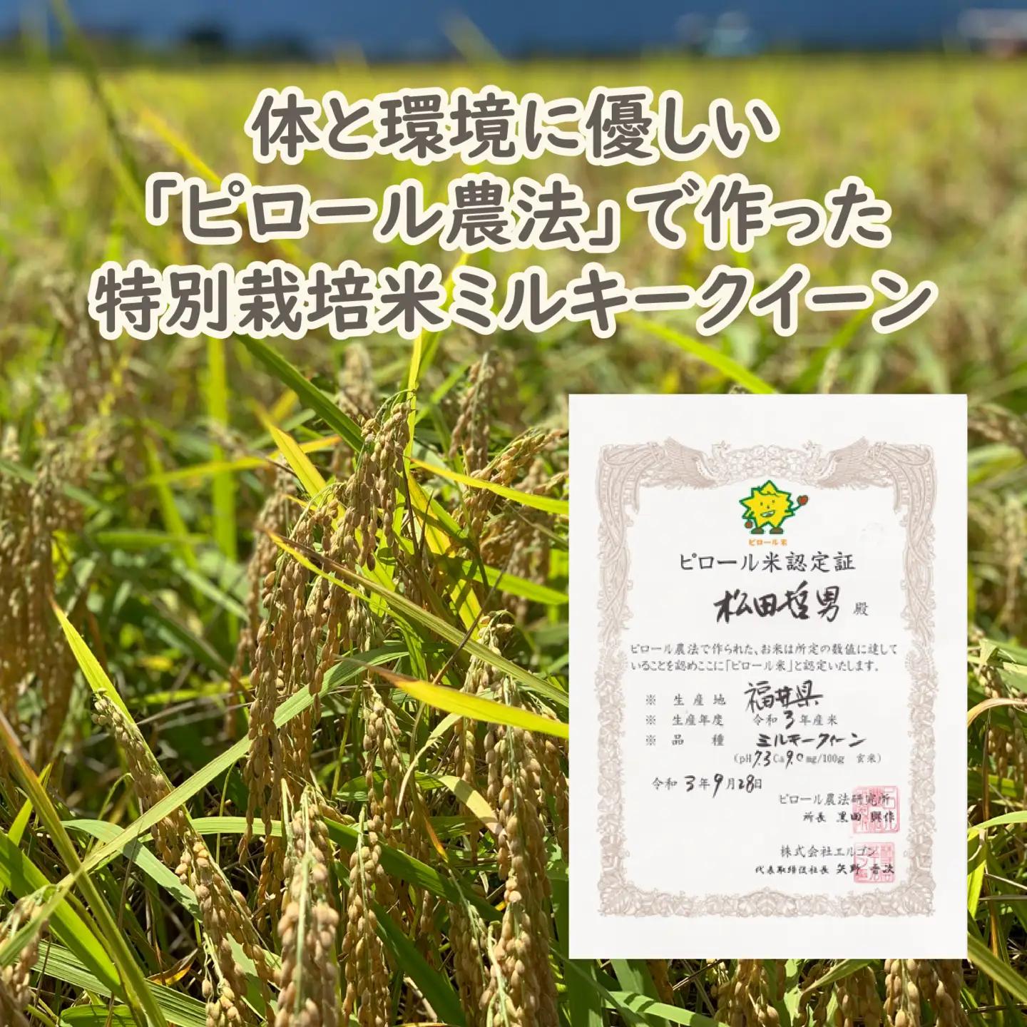 【先行予約】【令和8年産 新米】【3ヶ月定期便】ミネラル豊富！弱アルカリ性のピロール米 ミルキークイーン 玄米 5kg（5kg × 3回）化学肥料5割以下・減農薬 [D-008002]