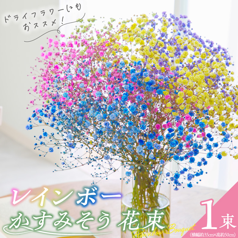 【佳花園】レインボーかすみそう 花束［156K03］_イメージ1