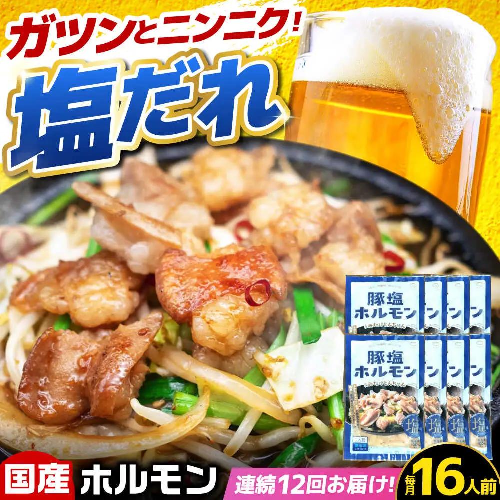 【12回定期便】岐阜県産豚もつの鉄板焼き「元祖みたけとんちゃん」豚塩味（16人前）[AVAA081]豚 定期