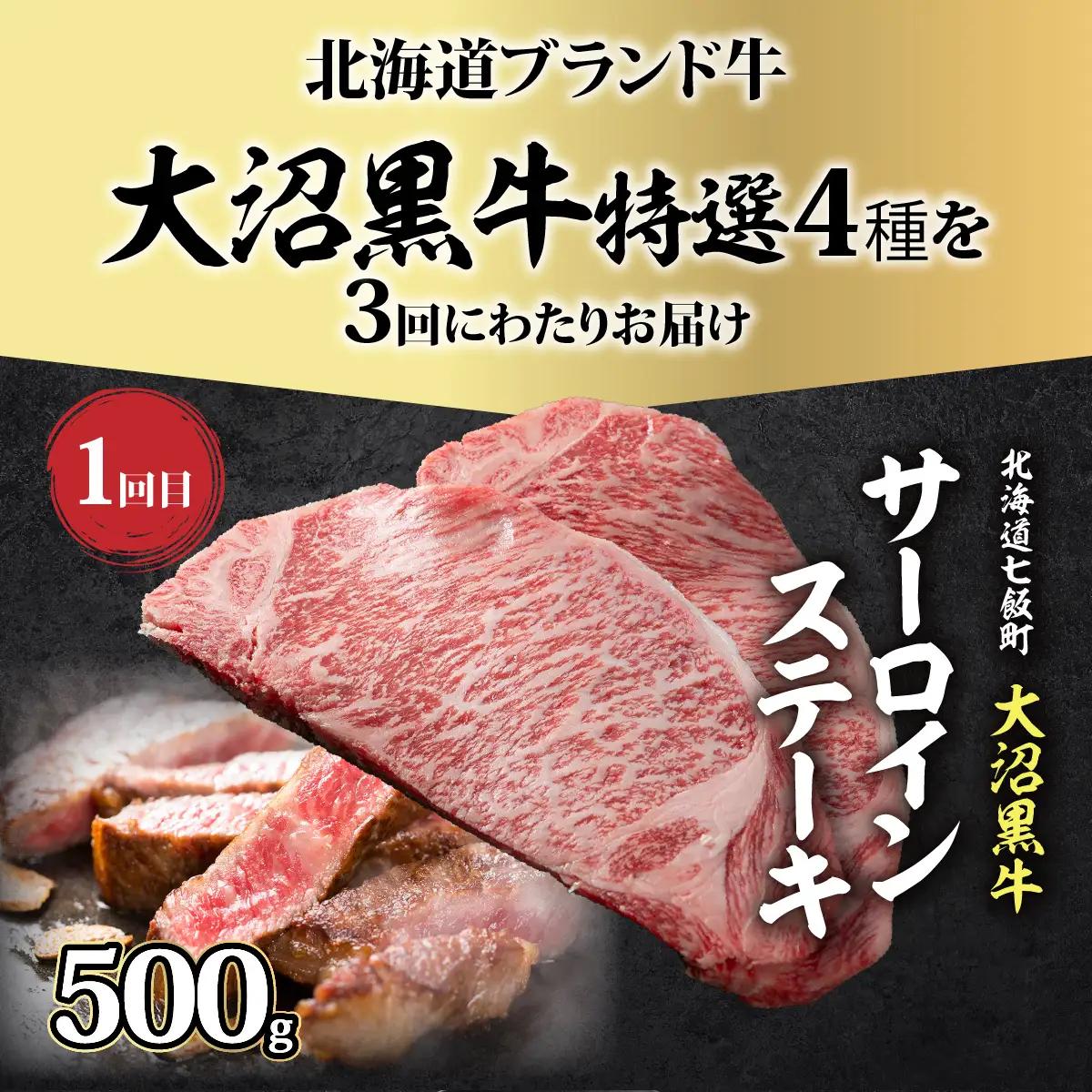 【北海道ブランド牛】大沼黒牛の特選セット 定期便3ヶ月 NAM059