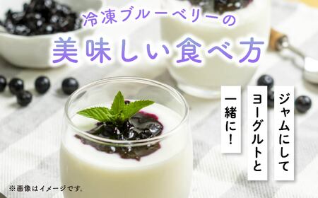 冷凍ブルーベリー300g×4袋