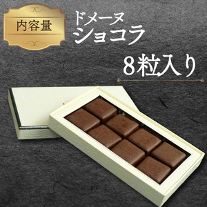 ドメーヌ ショコラ 8粒入り チョコレート カカオ 豆 冷凍 母の日 贈答 ギフト プレゼント バレンタイン チョコ クリスマス 静岡県 長泉町