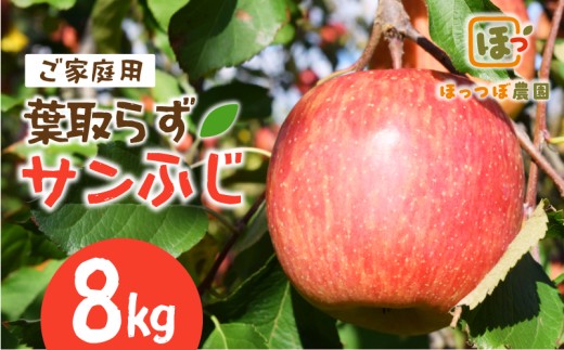 <先行予約> 訳あり サンふじ 選べる 8kg りんご 葉取らずサンふじ リンゴ 林檎 ふじ フジ サンフジ 果物 くだもの フルーツ りんご リンゴ 林檎 りんご 産地直送 農家直送 新鮮 旬 国産 冬 傷 訳アリ わけあり 家庭用 おすそわけ プレゼント おやつ スイーツ デザート ringo apple 宮城県 岩沼市 東北 HT005