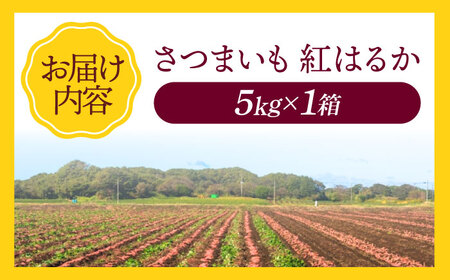 さつまいも（紅はるか）5kg 芋 さつまいも 5kg 野菜 セット /愛たい菜[AGAP020]