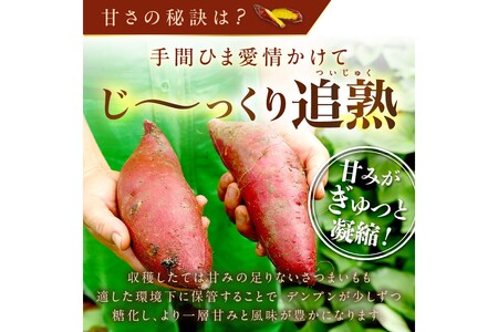 【先行予約】日本一！さつまいもオブザイヤー2部門受賞のサツマイモ農家が作る「紅はるか」の冷凍焼き芋1kg（4～7本程度）（2026年2月中旬～発送）