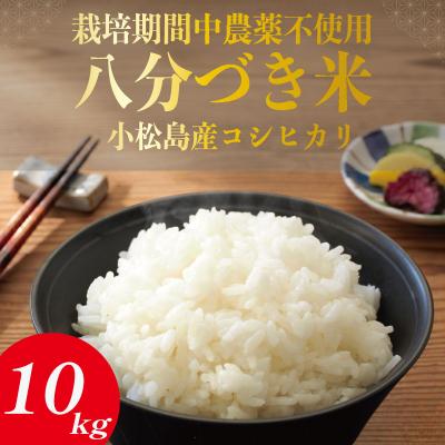 ふるさと納税 小松島市 令和7年産 米 八分づき米 10kg 栽培期間中農薬不使用 米 玄米 お米 コメ こしひかり
