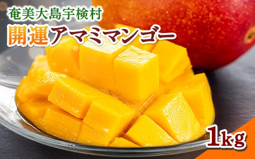 
                  【受付開始！数量限定】開運奄美マンゴー 1kg 完熟  冷蔵 マンゴー トロピカルフルーツ 先行予約 特秀品/秀品 混合 奄美 大島 宇検村 鹿児島県 果物 南国 フルーツ デザート 高級 ご褒美 贈り物 ギフト 奄美大島開運酒造
                