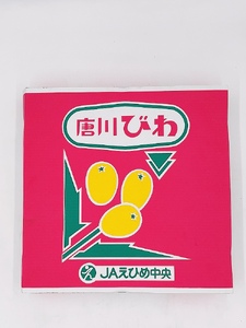 びわ 唐川びわ 先行予約 350g×6パック入り【2025年5月下旬以降発送】｜B124