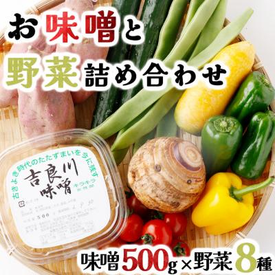 ふるさと納税 室戸市 お味噌と8品野菜セット