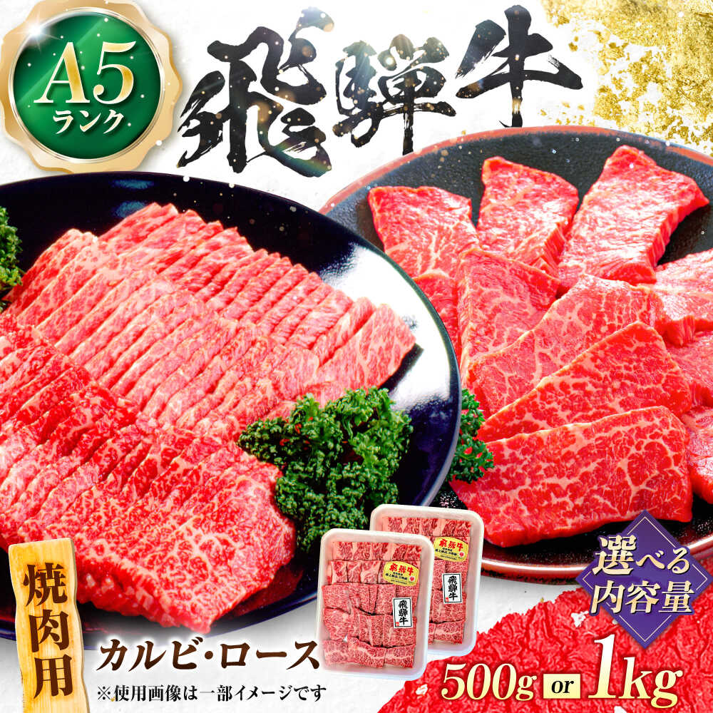 【ふるさと納税】【選べる容量】飛騨牛 A5等級 焼肉用 カルビ・ロース カルビ カルビ焼肉 カルビ肉 ロース 焼肉 焼き肉 やきにく 焼肉セット 焼肉用 赤身 最高級 a5 A5 牛 和牛 牛肉 お肉 高級 贈答ギフト 岐阜市 / 肉の松久[ANIP005]