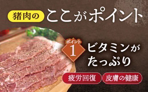 【6回定期便】ジビエ 天然イノシシ肉 バラエティ総量6.0kg【照本食肉加工所】 [OAJ075] / 肉 猪 猪肉 イノシシ イノシシ肉 いのしし しし肉 しし鍋 ボタン鍋 ジビエ