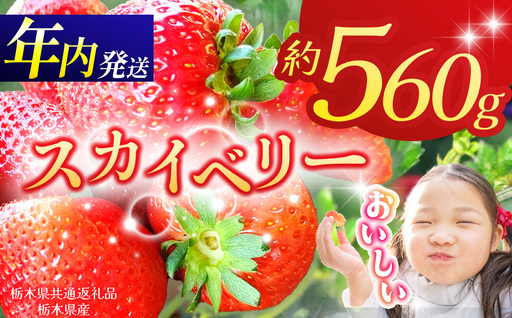 【栃木県共通返礼品】【2026年先行予約】スカイベリー 280g×2P| 年内発送 果物 くだもの フルーツ 野菜 やさい ヤサイ 苺 イチゴ いちご スカイベリー 新鮮 甘い 数量 限定 美味しい 果物 共通返礼品 フルーツ デザート 栃木県 那珂川町 送料無料
