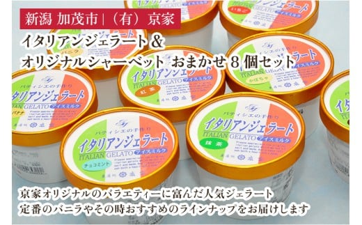 京家のイタリアンジェラート&オリジナルシャーベット おまかせ8個セット アイス アイスクリーム 氷菓 スイーツ ひんやり 有限会社京家 加茂市