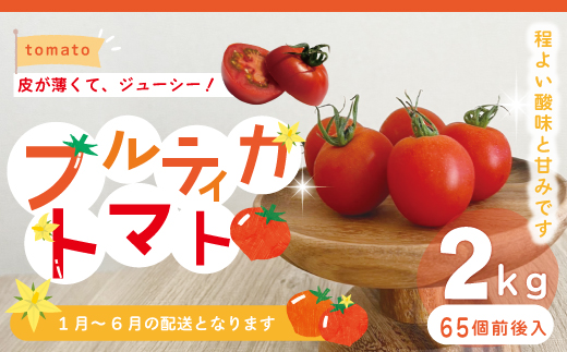 四万十市産 フルティカトマト2kg【1月上旬～6月中旬に発送】R5-375