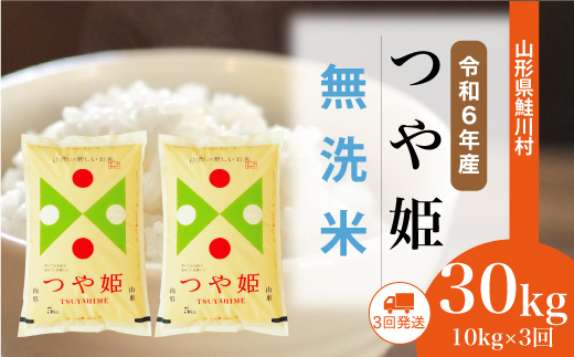 ＜令和6年産米＞山形県産 特別栽培米 つや姫【無洗米】30kg定期便 (10kg×3回)　 配送時期指定できます！ 鮭川村