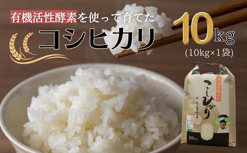 
            【令和7年産】有機活性酵素を使用 新見産コシヒカリ 白米10kg×1袋
          