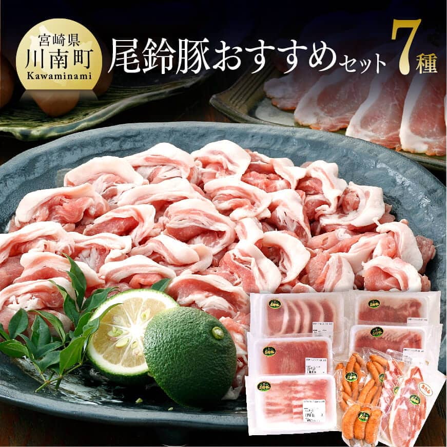尾鈴豚おすすめセット 肉 豚肉 国産 九州産 宮崎県産 豚しゃぶ カツ 焼肉 バーベキュー バラエティ セット