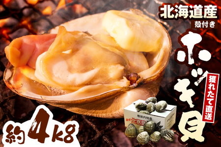 【数量限定】 獲れたて直送 ホッキ貝 約4kg　（ホッキ 北寄 ほっき貝 北寄貝 貝 魚介類 魚貝類 海鮮 北海道産 道産 新鮮 活魚 活貝 産地直送 生 国産 とよとみ 北海道 豊富町）