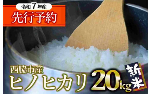 【新米先行予約】ヒノヒカリ 20kg 白米 令和７年産 (66-24) 米 お米 こめ コメ ヒノヒカリ ひのひかり 人気 白米 兵庫県産 20kg 精米