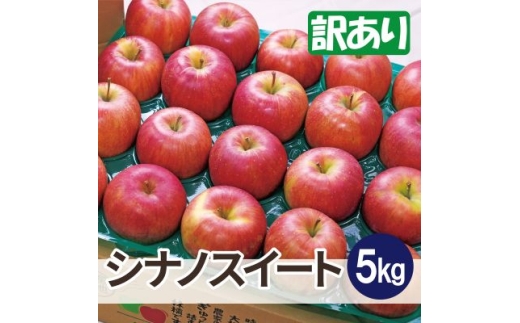 ＜26年11月より順次発送＞平均糖度13度以上! シナノスイート 約5kg 訳ありりんご 青森県産【1612868】