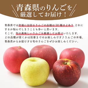 【2024年12月中旬発送】 【訳あり】旬の美味しいりんご 約15kg 青森産 【おまかせ2品種】