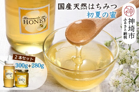 【数量限定】2025年産 国産天然蜂蜜（初夏の蜜）300g & 280g【合計580g】【蜂蜜 パンケーキ ヨーグルト 甘み フルーティ とろとろ】(H049128)
