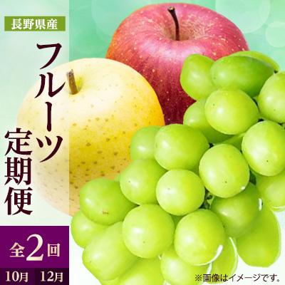 ふるさと納税 中野市 【発送月固定定期便】2026年発送 長野の果物 シャインマスカット+りんご詰め合わせ全2回