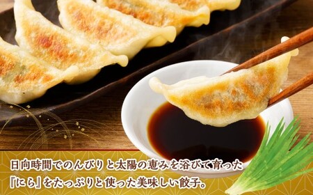 にら農家 ぎょうざ  国産 肉 小分け 惣菜 人気 100個(10個×10パック)
