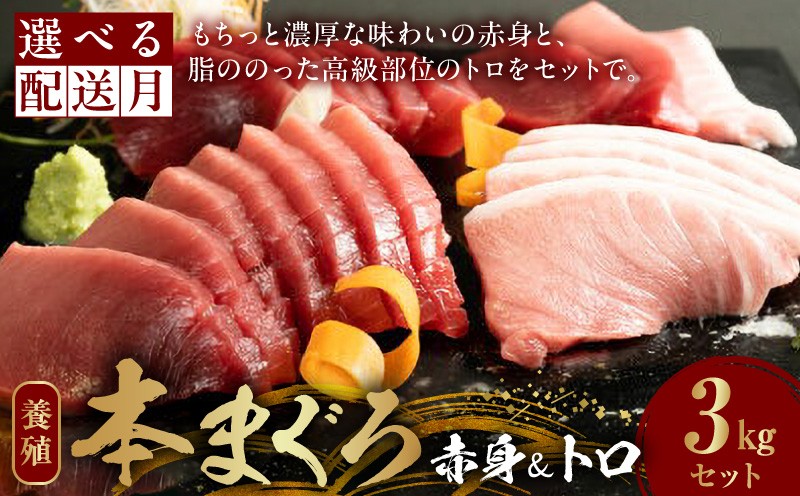 
                  本マグロ （養殖） 赤身 ＆ トロ セット 3kg _AZ6021-sku
                