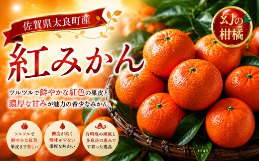 新宮みかん園 紅みかん 5kg みかん ミカン 蜜柑 柑橘 果物 フルーツ 人気 新鮮 先行予約 数量限定 温州みかん 完熟みかん 甘熟 国産 佐賀県 太良町 こだわり 産地直送 詰め合わせ N59x2【2026年11月上旬～2027年1月上旬発送予定】