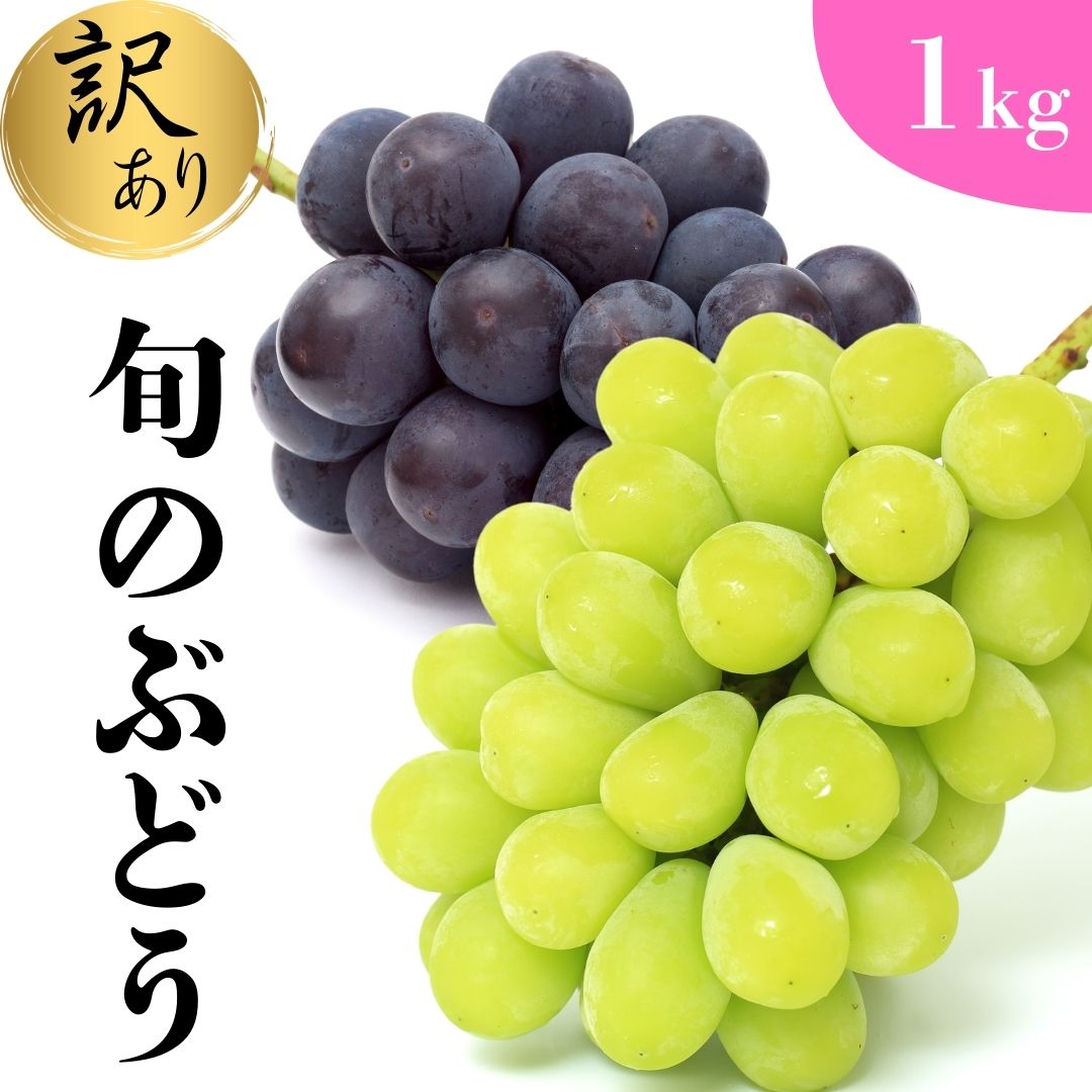【ふるさと納税】訳あり ぶどう詰合せ 旬のぶどう 約1kg 貞森ぶどう光園 ぶどう ブドウ 葡萄 フルーツ 果物　【 大粒 人気 皮ごと 熟した 採れたて 食べ比べ ピオーネ 】　※2025年9月上旬～9月下旬頃に順次発送予定