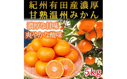 
紀州有田産濃厚甘熟温州みかん　５ｋｇ
