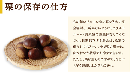 【 吉原農場 の 完熟栗 】 熟成 生栗 1kg 3Lサイズ ・ 焼き栗 2袋 セット 完熟 栗 くり クリ 栗ごはん 贈答 ギフト 果物 フルーツ 数量限定 旬 秋 冬 正月 おせち [CX008c
